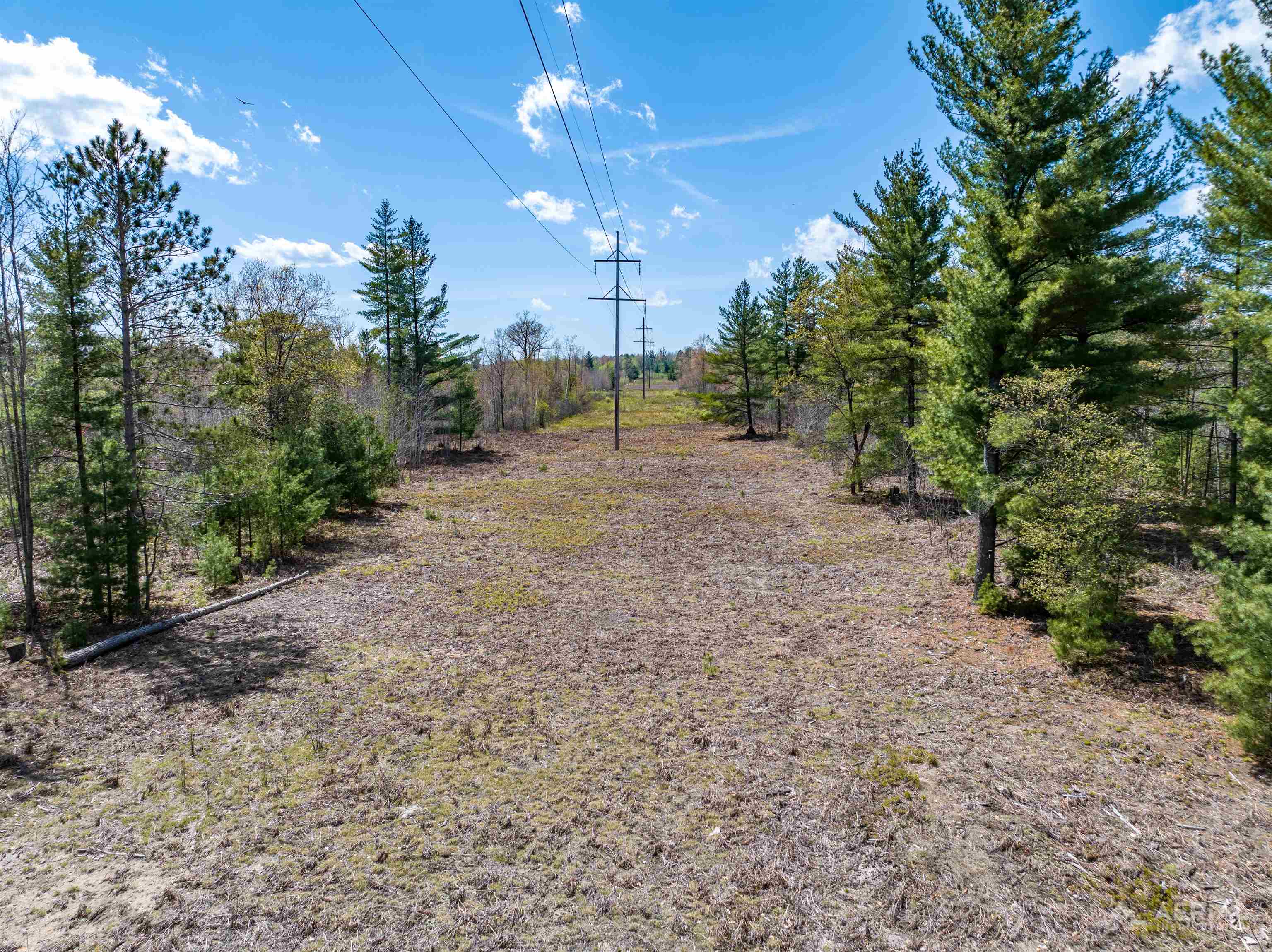 0 Seder Road Alger, MI 48610 - Photo 11 of 13