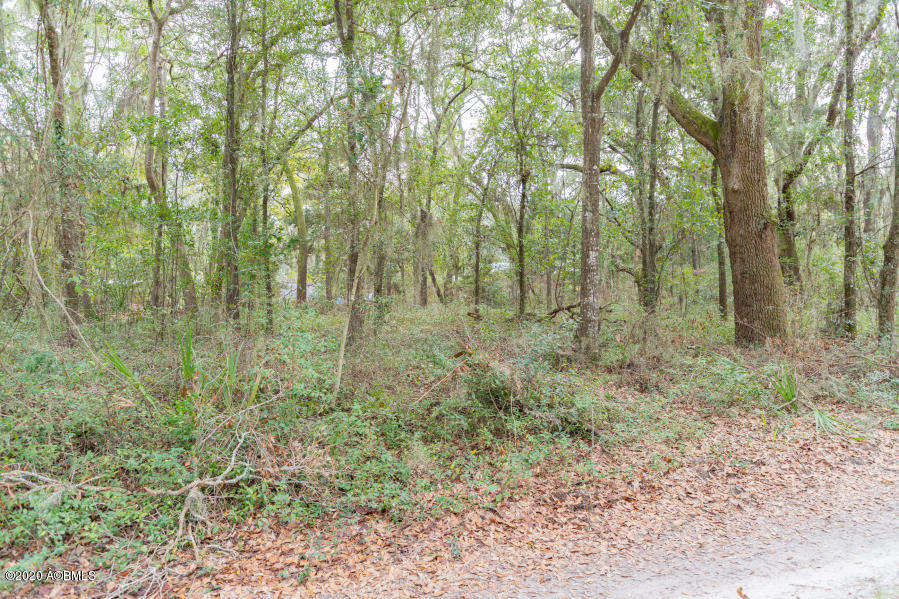 4 Hand Road St. Helena Island, SC 29920 - Photo 4 of 15 20200121203244316448000000-o