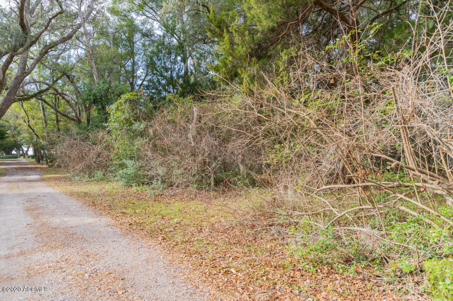 4 Hand Road St. Helena Island, SC 29920 - Photo 5 of 15 20200121203359523060000000-o