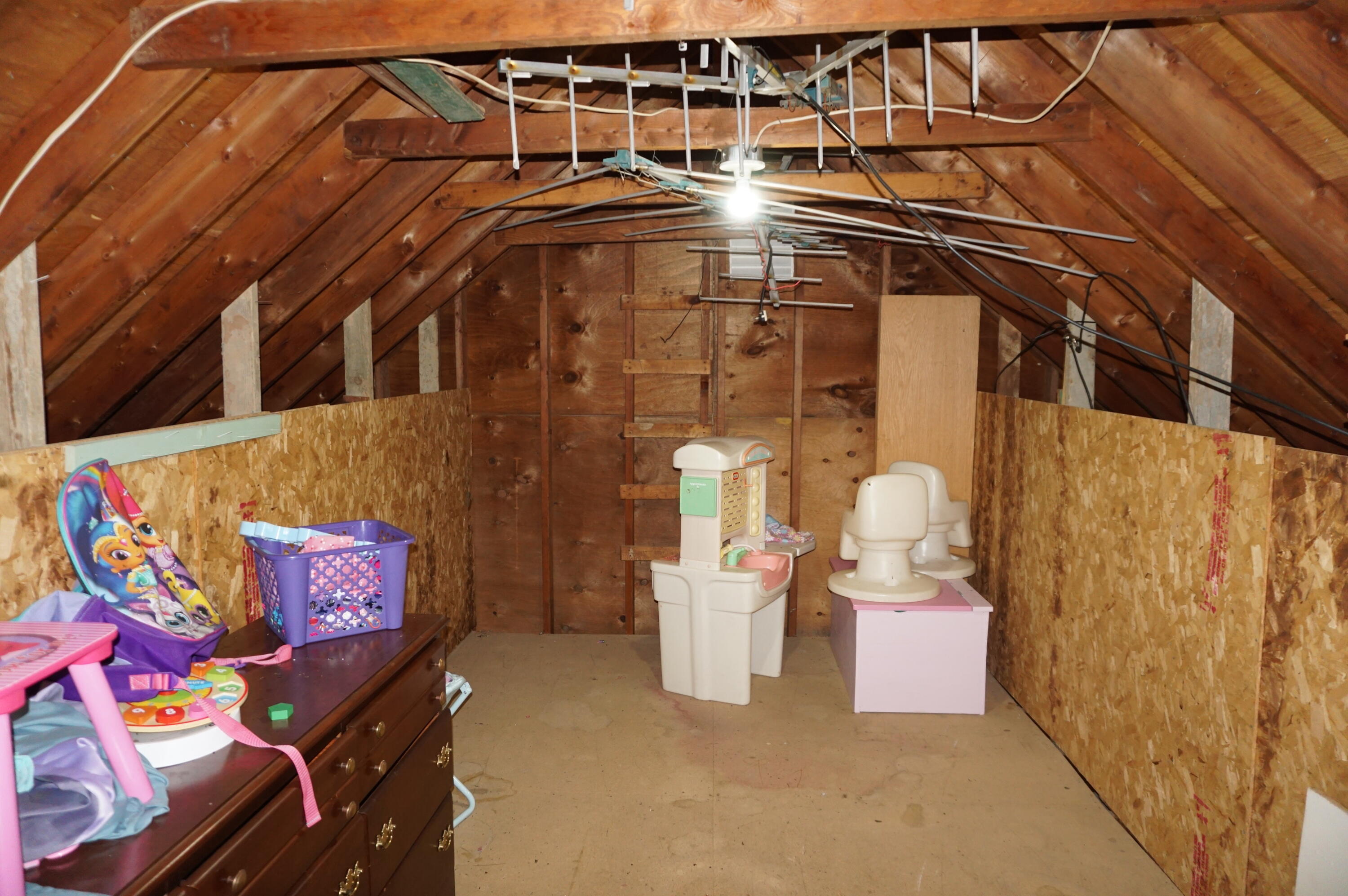 56955 Lucas Road Marcellus, MI 49067 - Photo 25 of 38 Attic storage #1