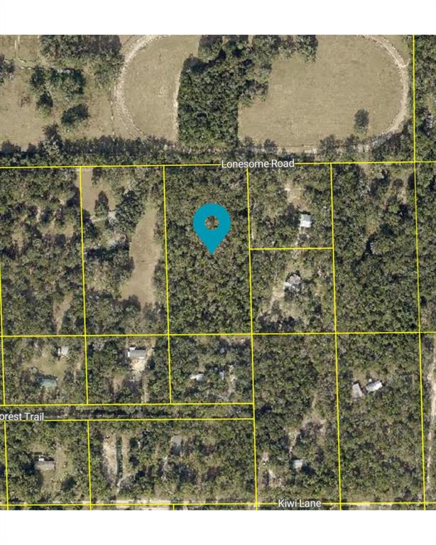 Lonesome Road Brooksville, FL 34601 - Photo 1 of 1