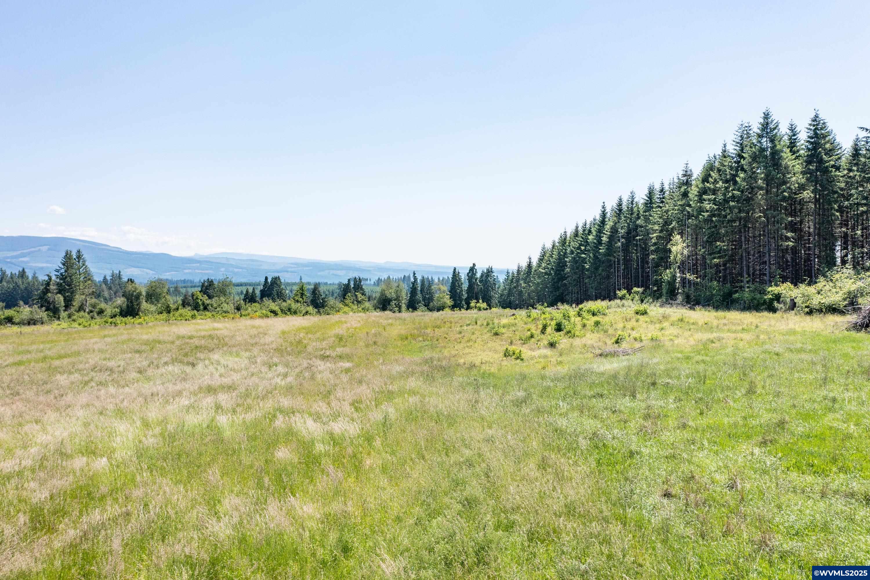 22411 South Schram Road Beavercreek, OR 97004 - Photo 4 of 13