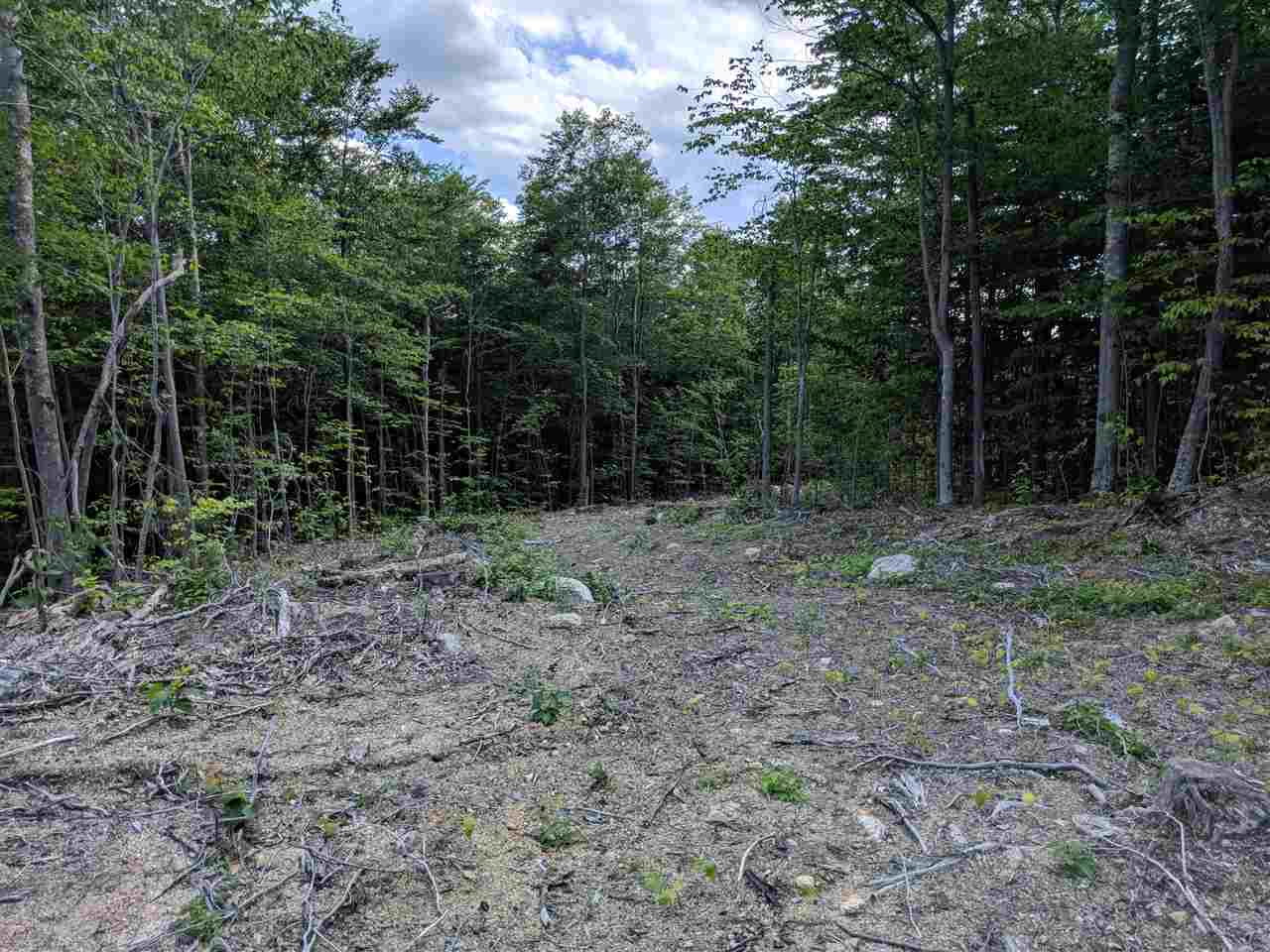 69 South Ledge Road, Unit B00 Glen, NH 03838 - Photo 24 of 29 Gallery Image 24