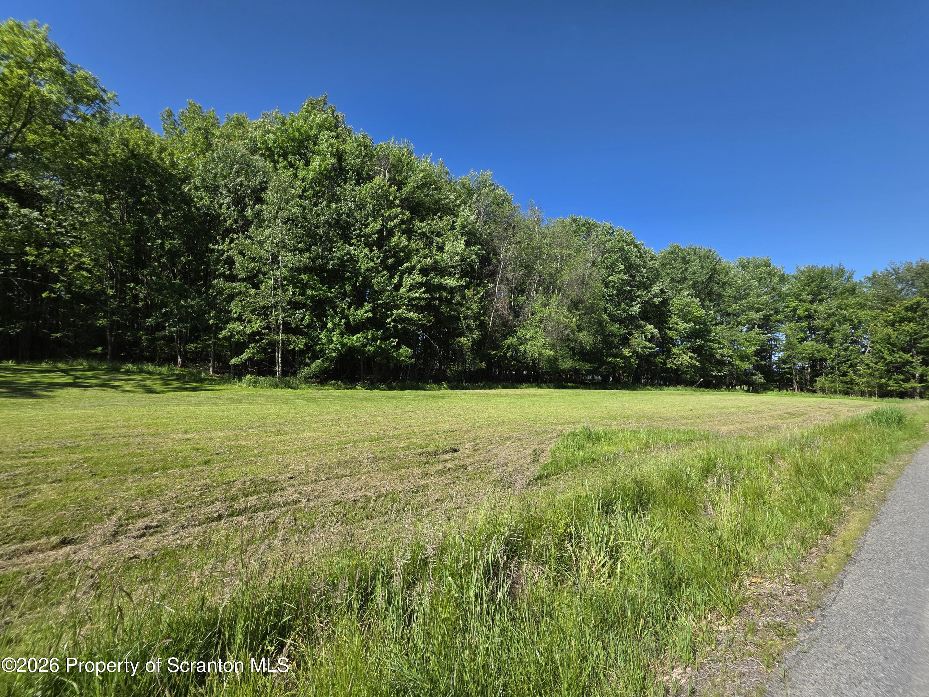 1333 Blue Berry Road Falls, PA 18615 - Photo 48 of 50 Yard