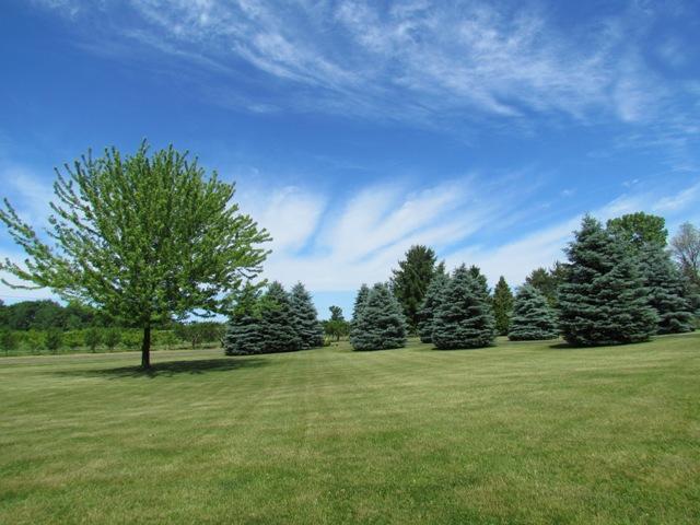 5835 Eidson Road St. Joseph, MI 49085 - Photo 2 of 23 Additional Photo