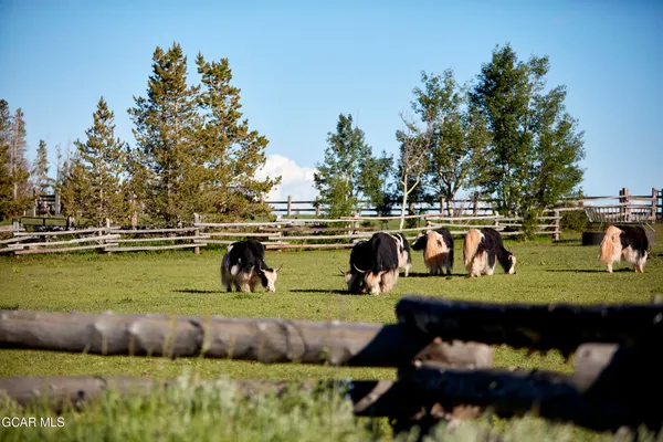 $7,195,832 | 201 Gcr 1911, Kremmling, CO 80459