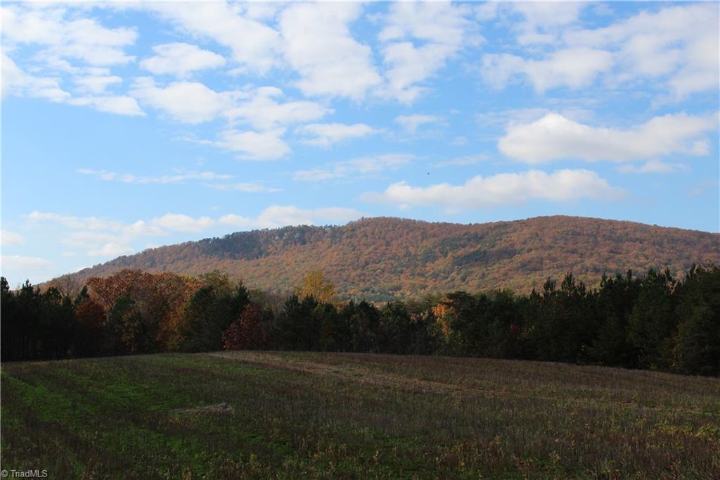 Lot 2 Gentry Farm Road King, NC 27021 - Photo 1 of 7