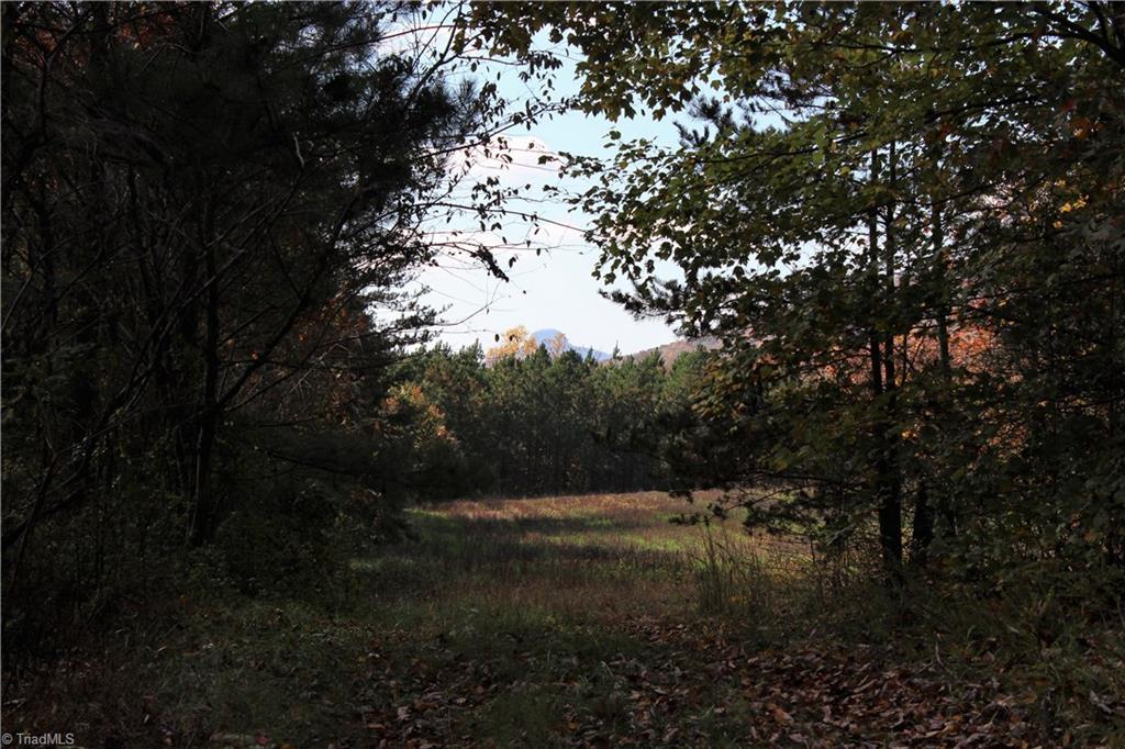 Lot 2 Gentry Farm Road King, NC 27021 - Photo 2 of 7