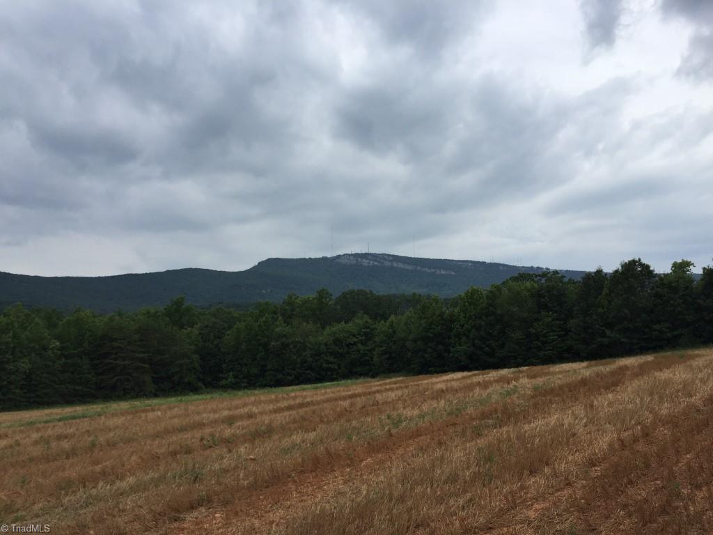 Lot 2 Gentry Farm Road King, NC 27021 - Photo 3 of 7
