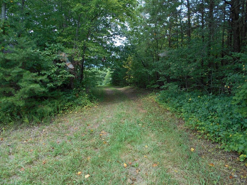 Lot 2 Gentry Farm Road King, NC 27021 - Photo 4 of 7