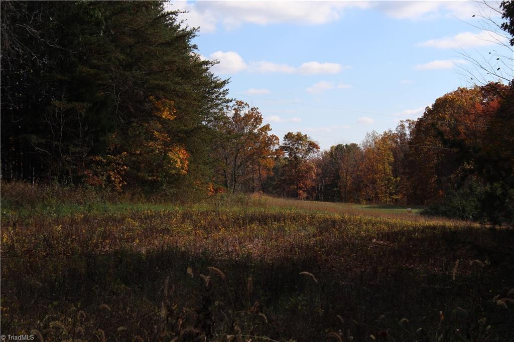 Lot 2 Gentry Farm Road King, NC 27021 - Photo 5 of 7