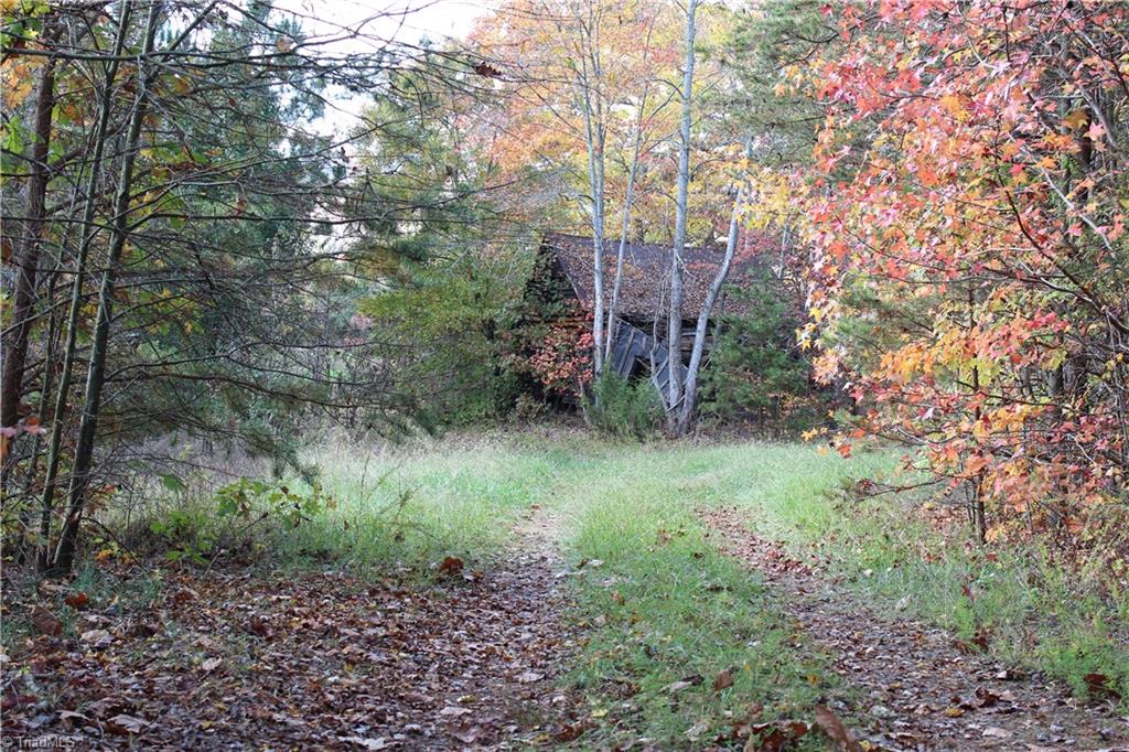 Lot 2 Gentry Farm Road King, NC 27021 - Photo 6 of 7