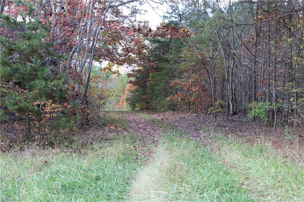 Lot 2 Gentry Farm Road King, NC 27021 - Photo 7 of 7