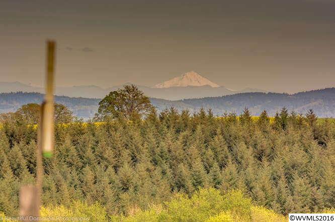 16455 Pleasant Hill Road Sheridan, OR 97378 - Photo 26 of 26