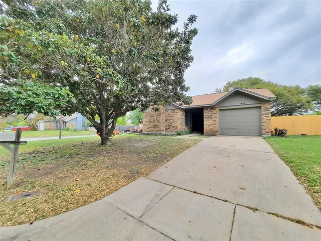 a view of a house with a tree in front of it