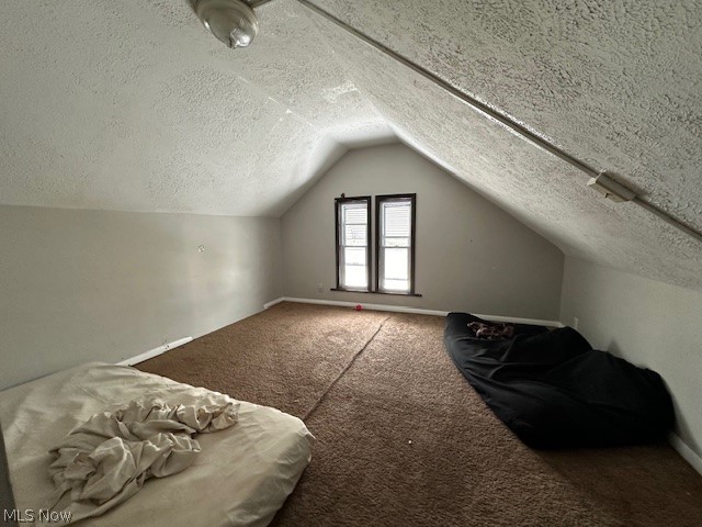 7701 Dercum Road Cleveland, OH 44105 - Photo 9 of 23 Additional living space featuring vaulted ceiling, a textured ceiling, and carpet floors