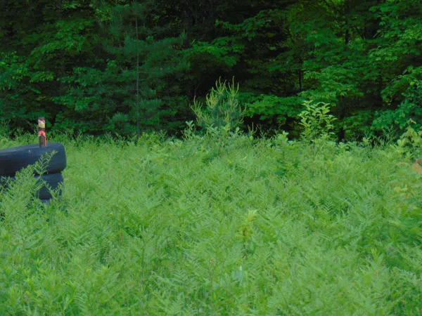 $75,000 | 0 Walker Pit Road, Lunenburg, VT 05906