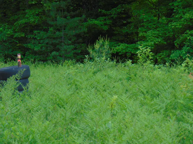 $75,000 | 0 Walker Pit Road, Lunenburg, VT 05906