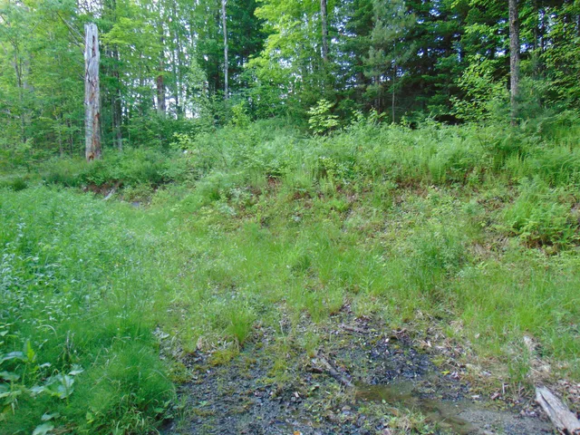 $75,000 | 0 Walker Pit Road, Lunenburg, VT 05906