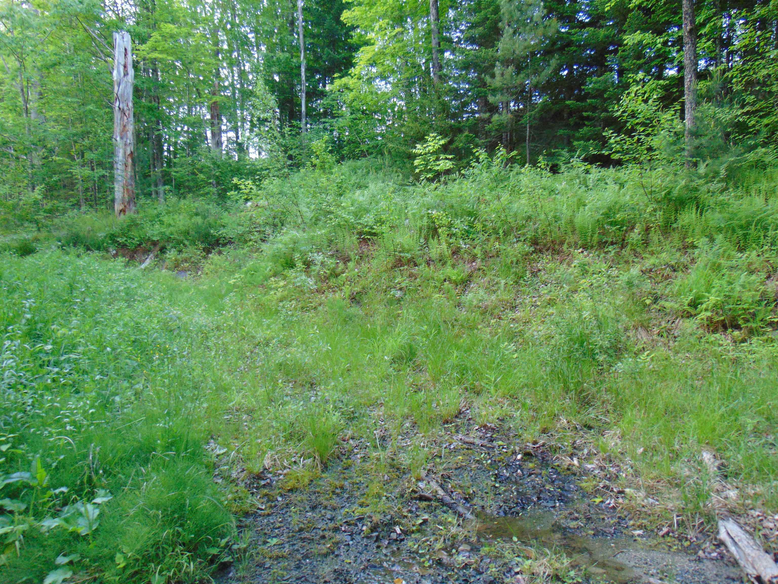 0 Walker Pit Road Lunenburg, VT 05906 - Photo 14 of 24