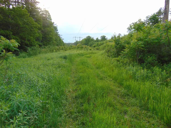 $75,000 | 0 Walker Pit Road, Lunenburg, VT 05906