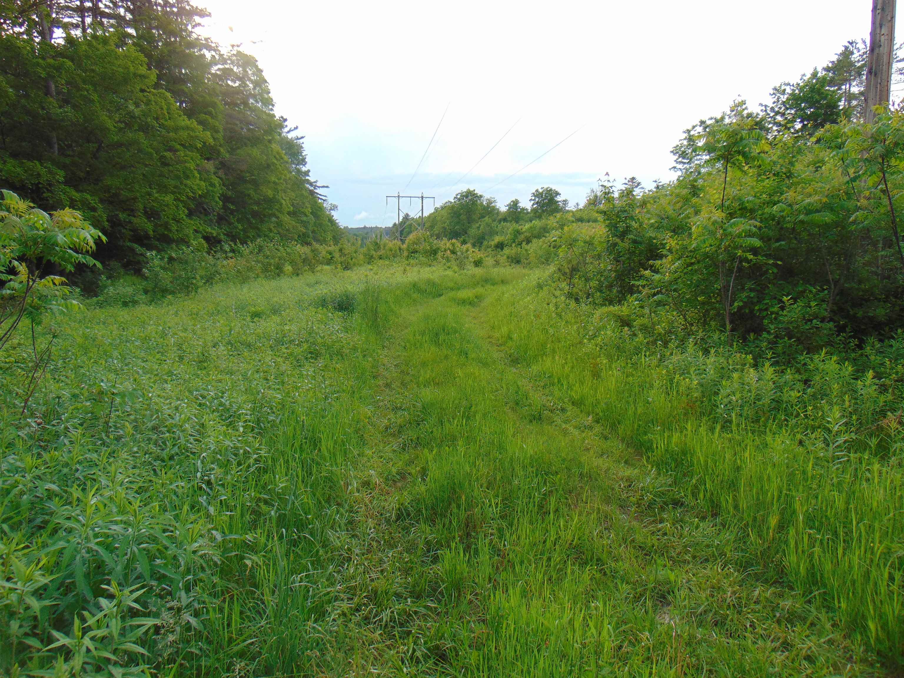 0 Walker Pit Road Lunenburg, VT 05906 - Photo 15 of 24