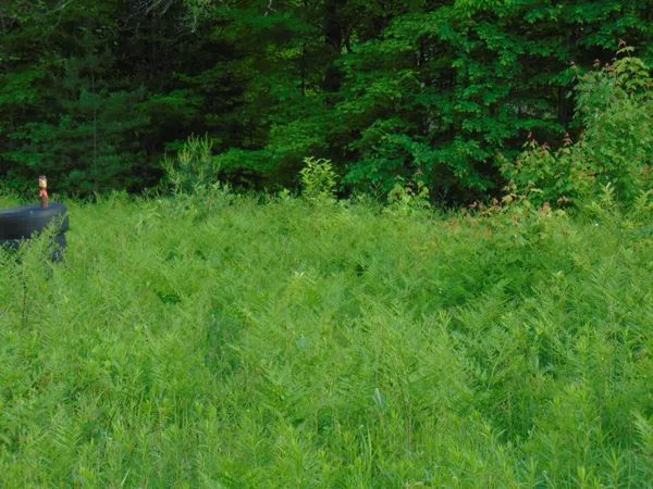 $75,000 | 0 Walker Pit Road, Lunenburg, VT 05906