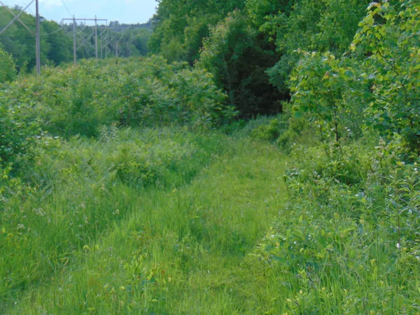 $75,000 | 0 Walker Pit Road, Lunenburg, VT 05906