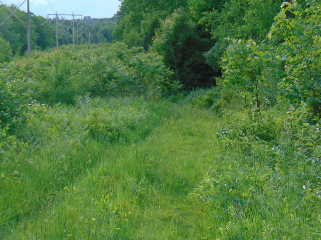 $75,000 | 0 Walker Pit Road, Lunenburg, VT 05906