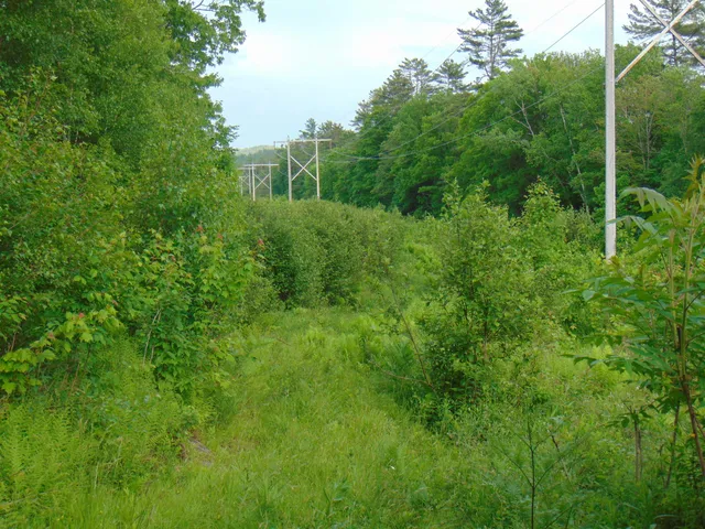 $75,000 | 0 Walker Pit Road, Lunenburg, VT 05906