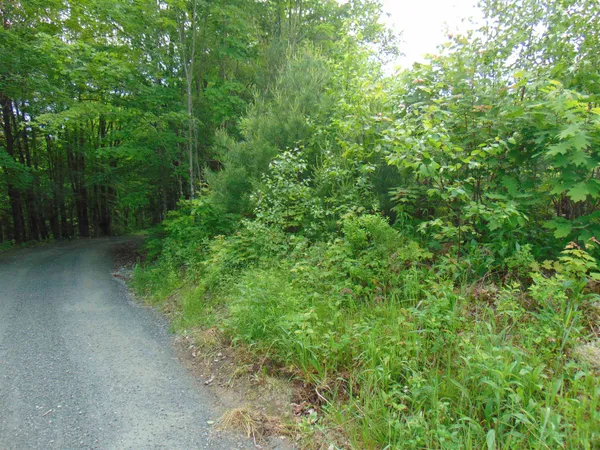 $75,000 | 0 Walker Pit Road, Lunenburg, VT 05906