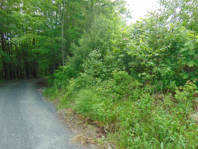 $75,000 | 0 Walker Pit Road, Lunenburg, VT 05906