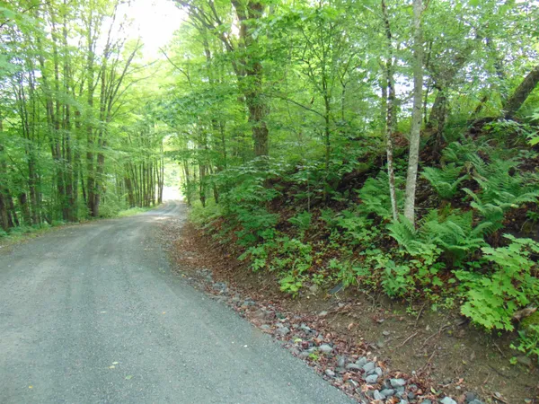 $75,000 | 0 Walker Pit Road, Lunenburg, VT 05906