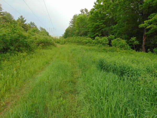 $75,000 | 0 Walker Pit Road, Lunenburg, VT 05906