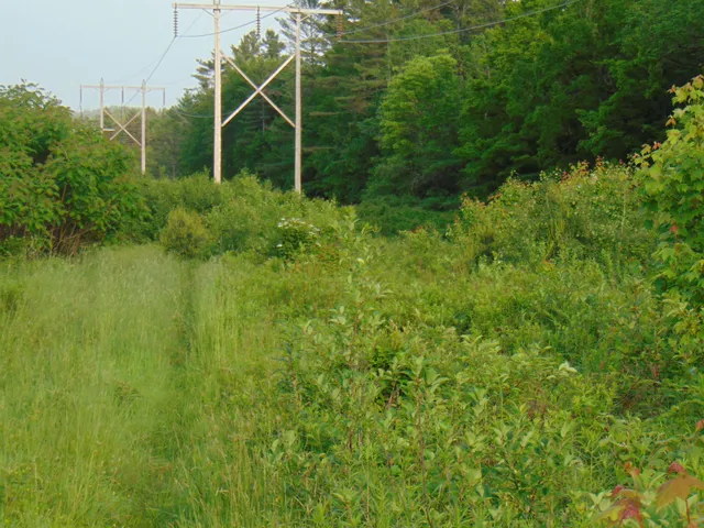 $75,000 | 0 Walker Pit Road, Lunenburg, VT 05906