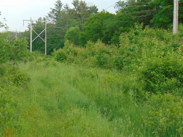 $75,000 | 0 Walker Pit Road, Lunenburg, VT 05906