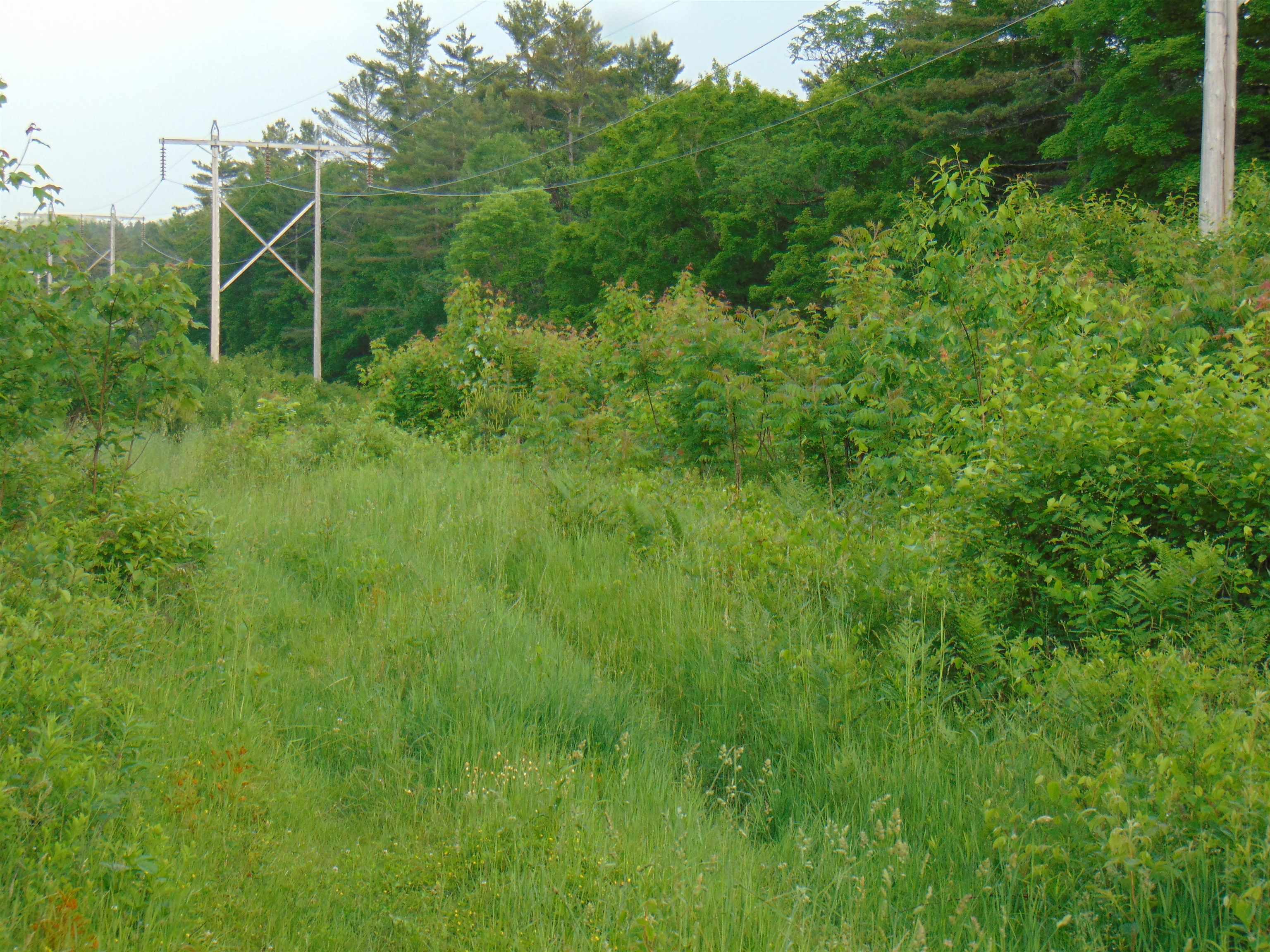 0 Walker Pit Road Lunenburg, VT 05906 - Photo 5 of 24