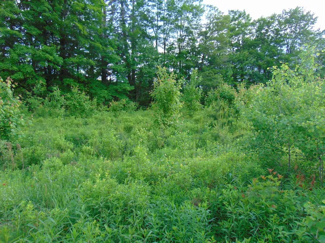 $75,000 | 0 Walker Pit Road, Lunenburg, VT 05906