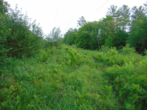$75,000 | 0 Walker Pit Road, Lunenburg, VT 05906