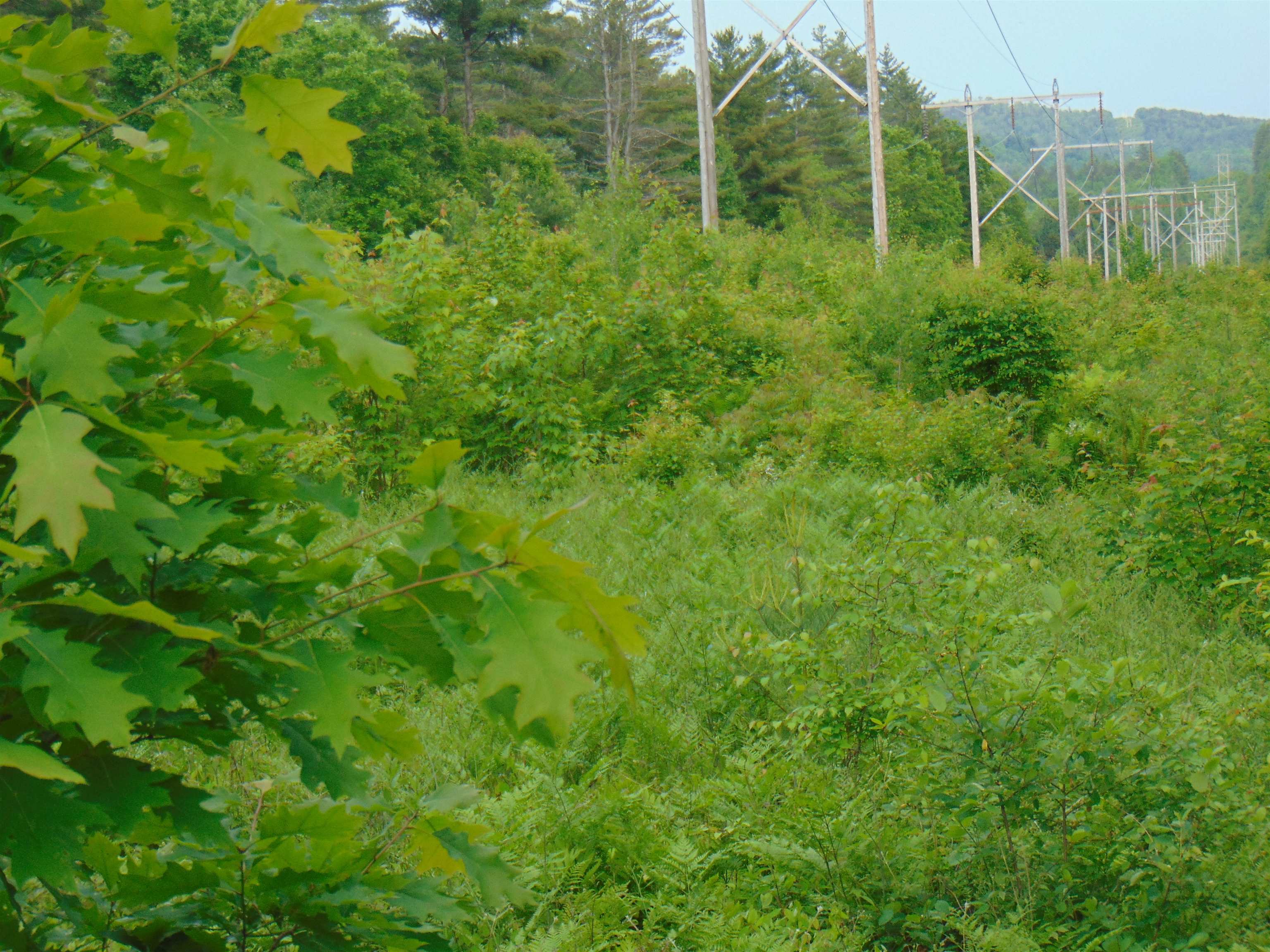 0 Walker Pit Road Lunenburg, VT 05906 - Photo 9 of 24