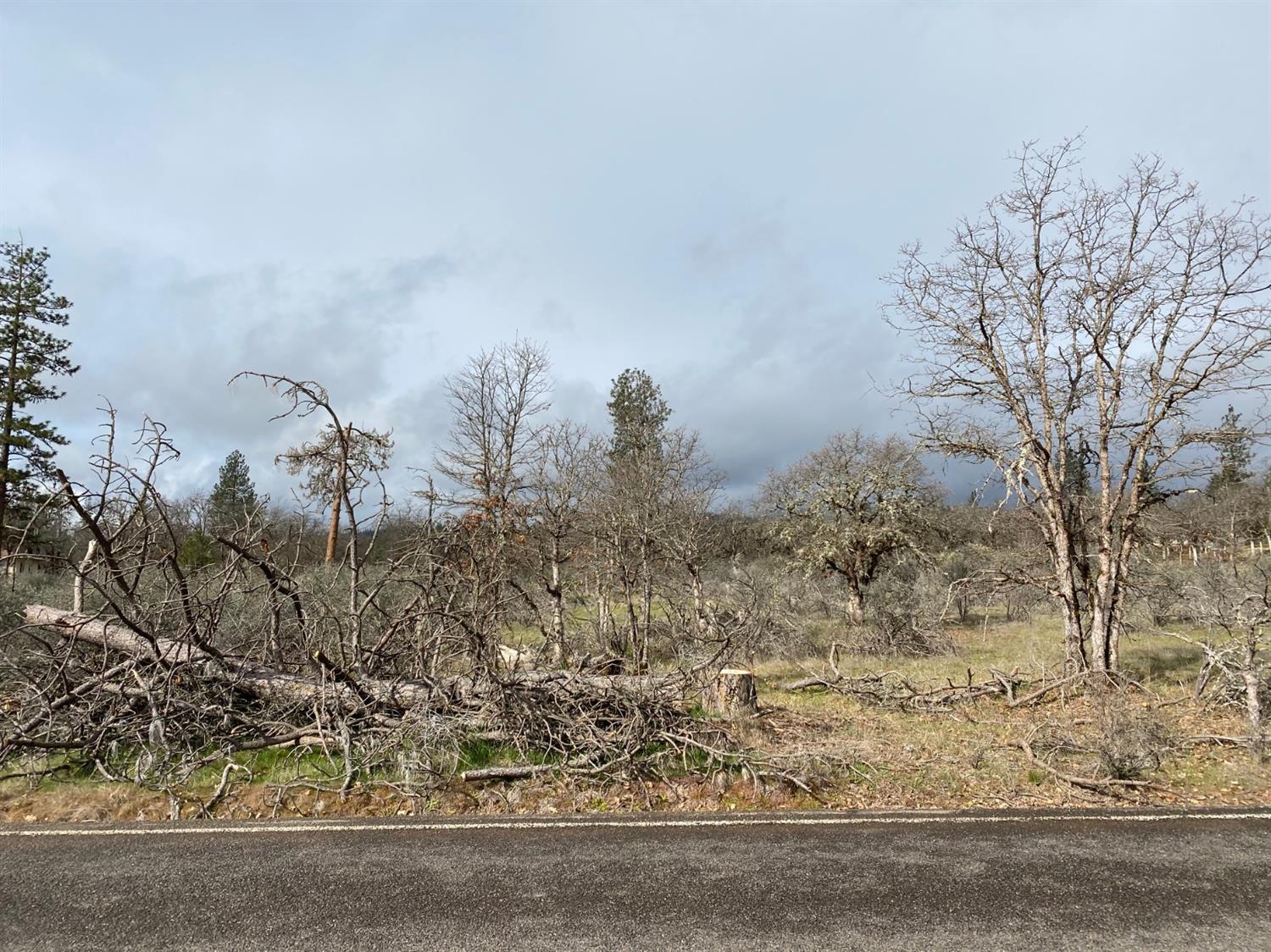 15619 Jones Road White City, OR 97503 - Photo 1 of 5 Primary Photo