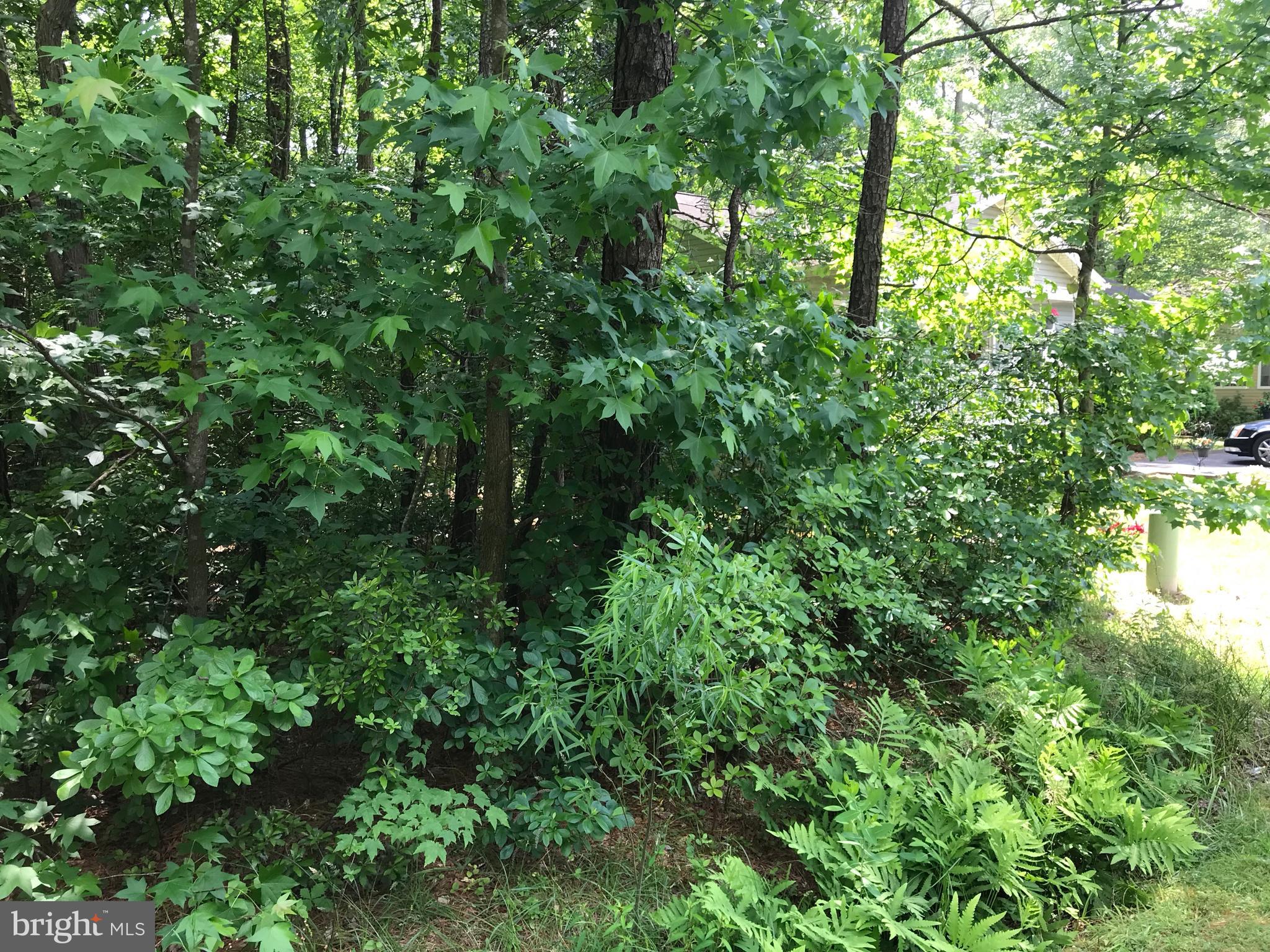 69 Sandyhook Road Ocean Pines, MD 21811 - Photo 1 of 3