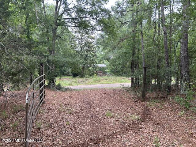 301 Freeman Road Southwest Summit, MS 39666 - Photo 1 of 43 IMG_4581