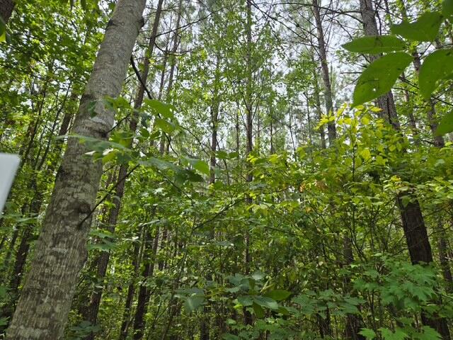 691 Miller Camp Road Buckingham, VA 23921 - Photo 1 of 4 Gallery Image 1