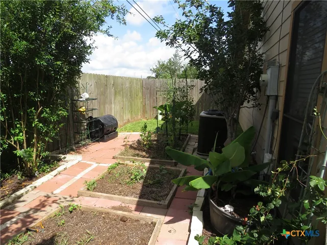 a plant that is in front of a house