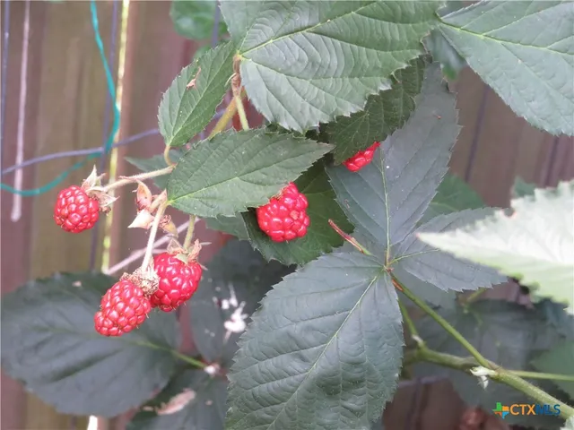 a front view of a building with garden