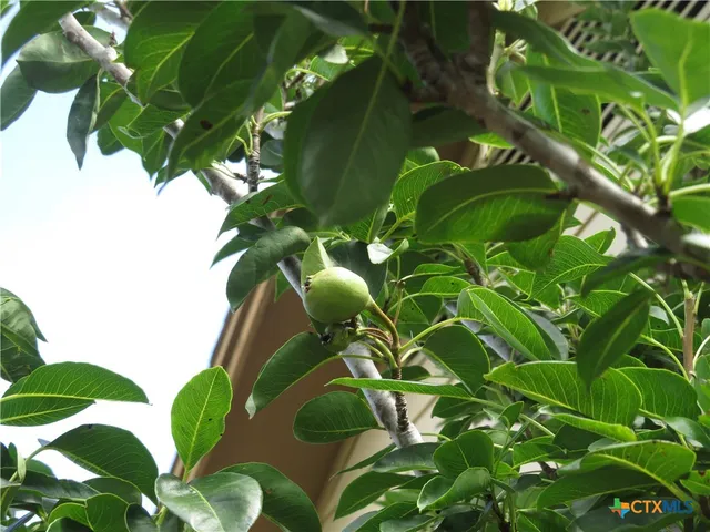 $170,000 | 310 Rattan Drive, Victoria, TX 77901