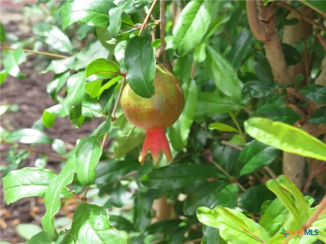 $170,000 | 310 Rattan Drive, Victoria, TX 77901