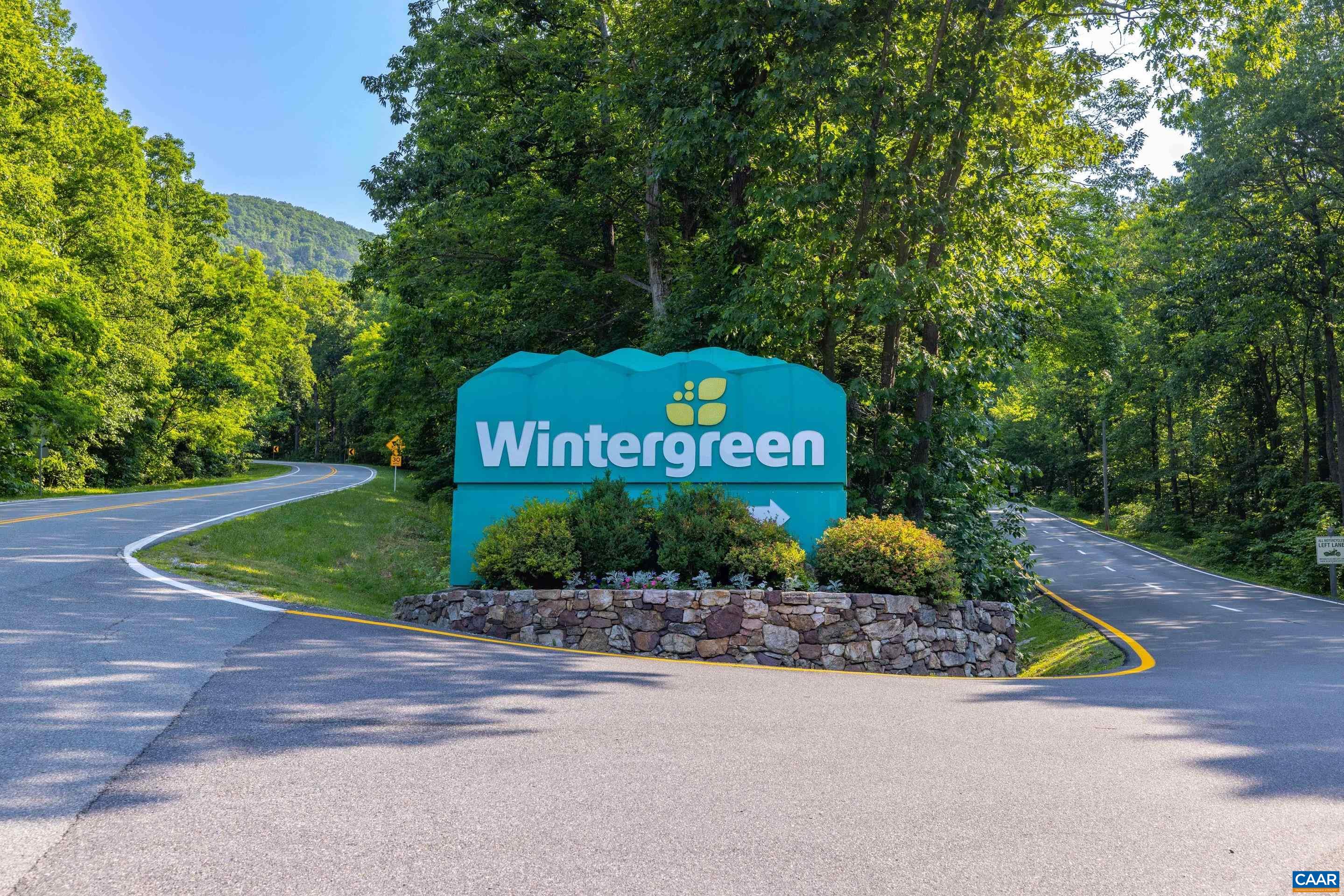 2041 Stone Ridge Wintergreen, VA 22967 - Photo 2 of 38 Gallery Image 2
