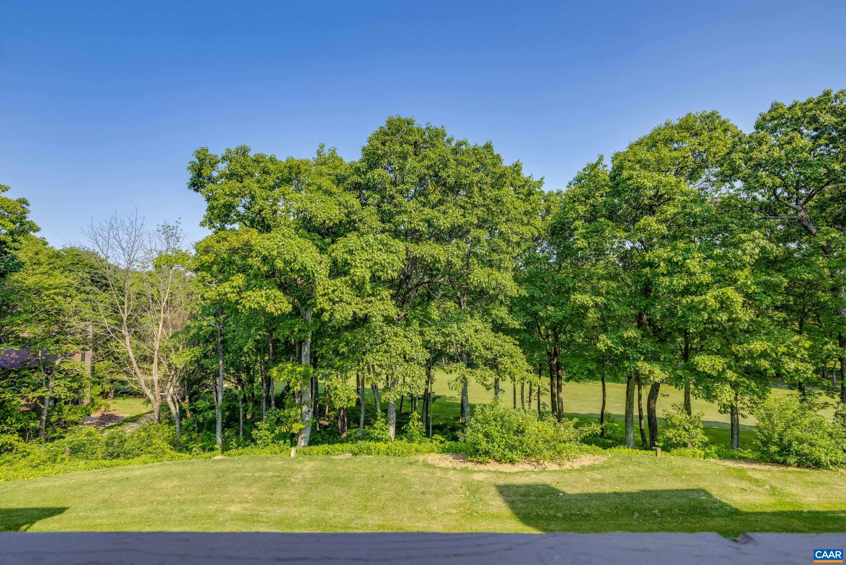 2041 Stone Ridge Wintergreen, VA 22967 - Photo 29 of 38 Gallery Image 29